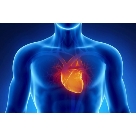 test-cardiogen---riesgo-cardiovascular-por-saliva